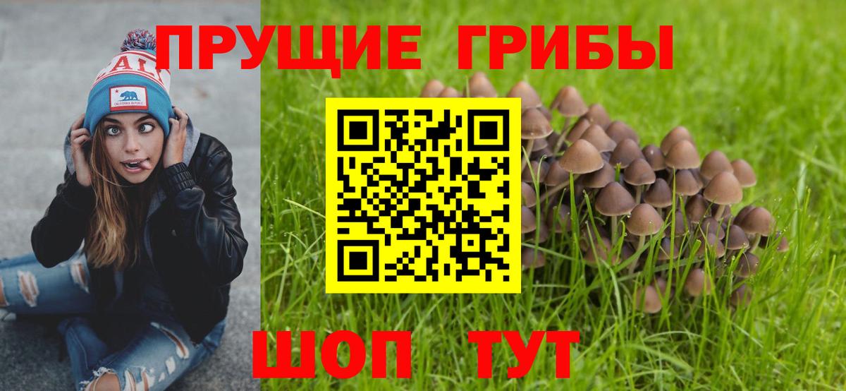 Находка  Псилоцибиновые грибы Psilocybe  Вход с VPN  Галлюциногенные грибы мухоморы 