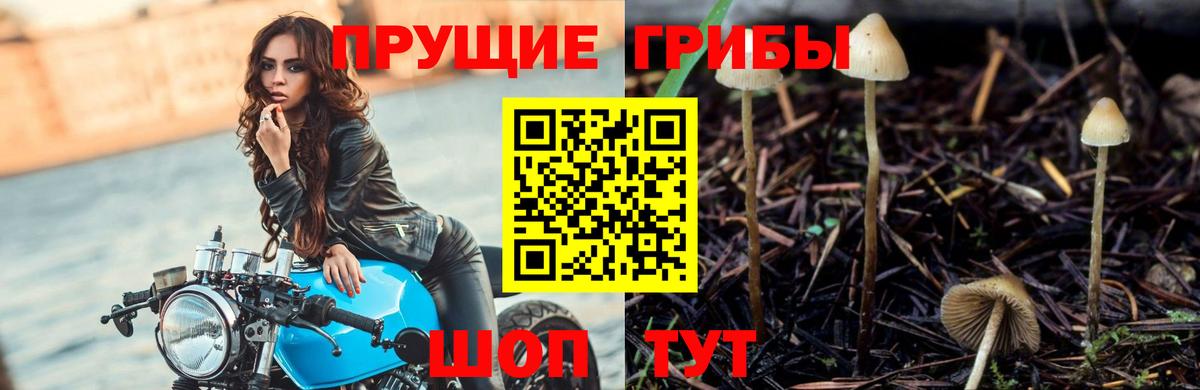 Галлюциногенные грибы Magic Shrooms Находка